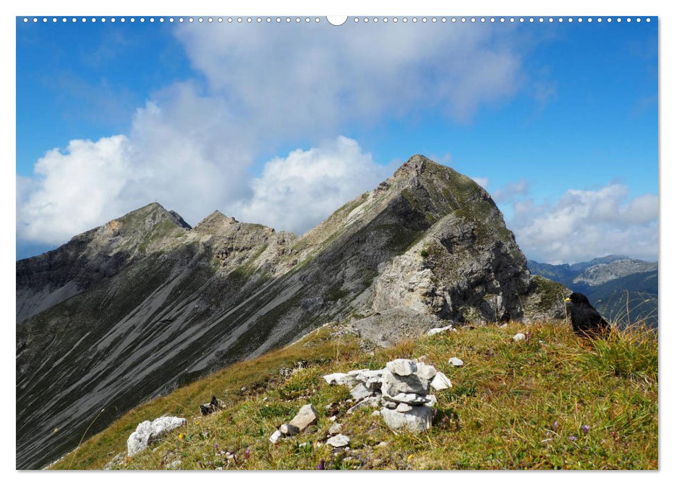 Ammergauer Alpen (CALVENDO Premium Wandkalender 2025)