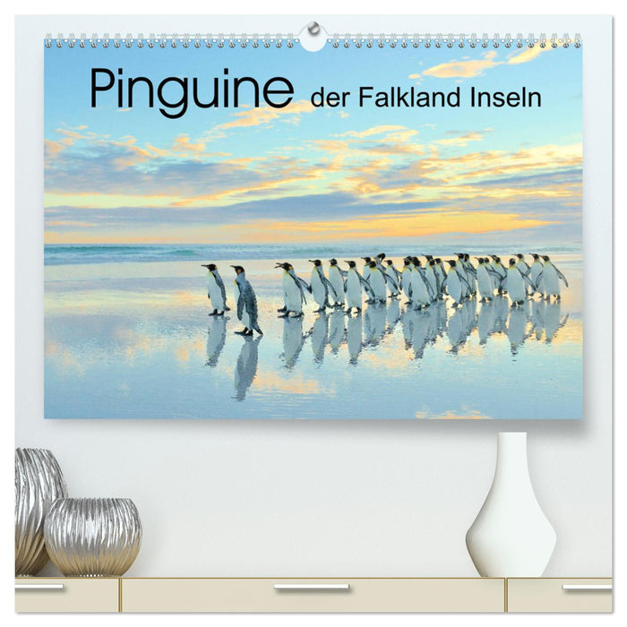 Pinguine der Falkland Inseln (CALVENDO Premium Wandkalender 2025)