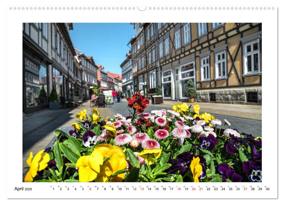 Wernigerode - Die Fachwerkstadt im Harz (CALVENDO Wandkalender 2025)