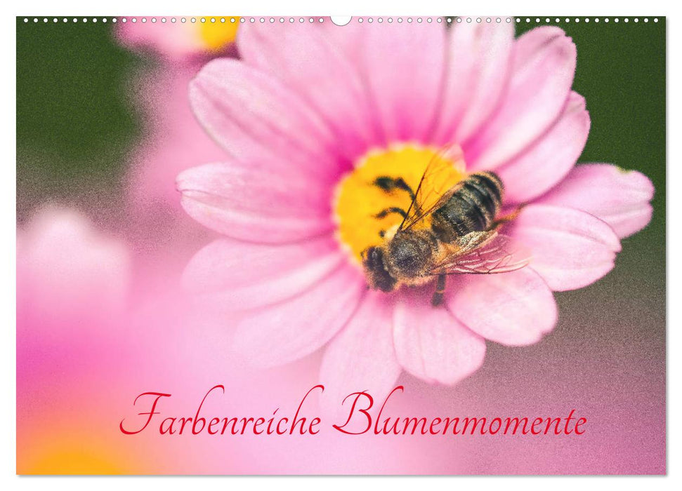 Farbenreiche Blumenmomente (CALVENDO Wandkalender 2025)