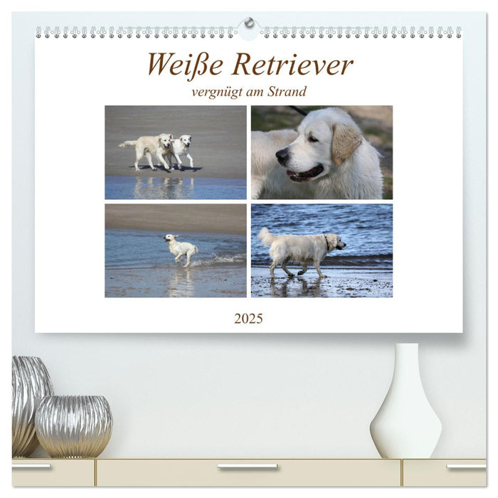 Weiße Retriever vergnügt am Strand (CALVENDO Premium Wandkalender 2025)