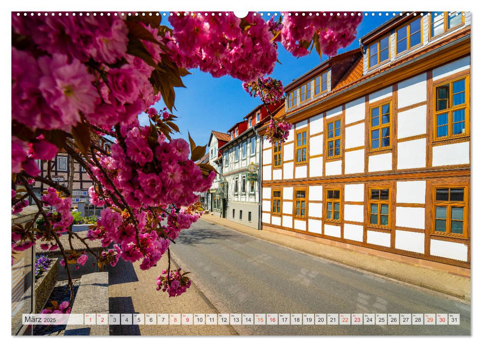 Bad Gandersheim Impressionen (CALVENDO Premium Wandkalender 2025)