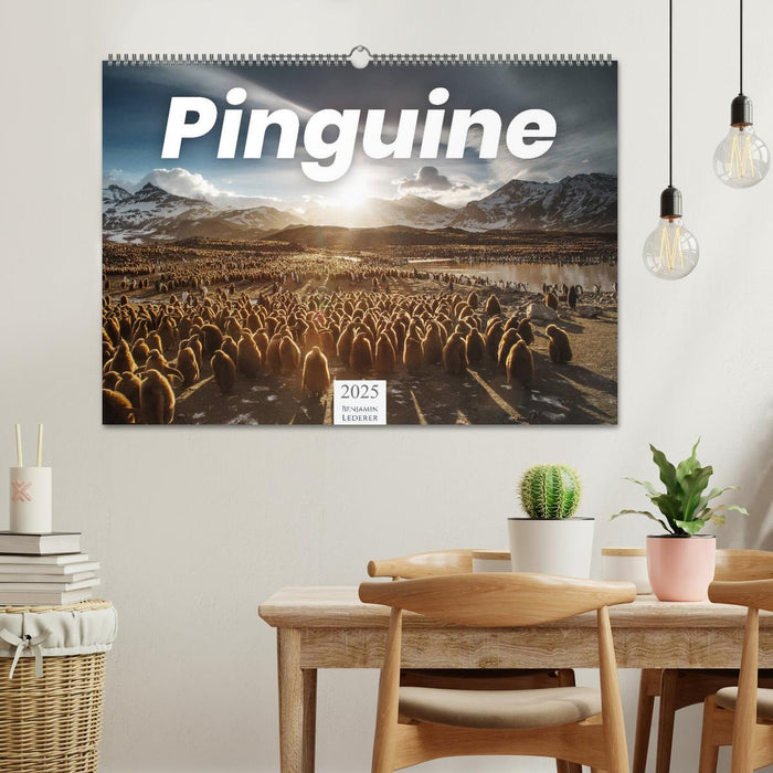 Pinguine - Die sympathischen Frack-Träger (CALVENDO Wandkalender 2025)