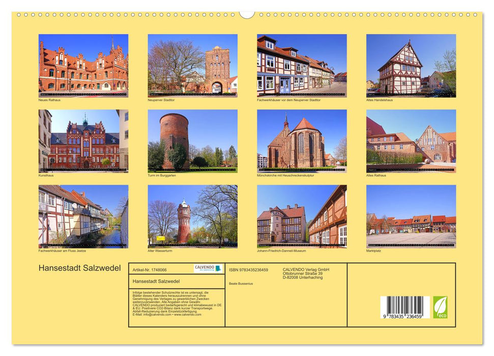 Hansestadt Salzwedel (CALVENDO Premium Wandkalender 2025)