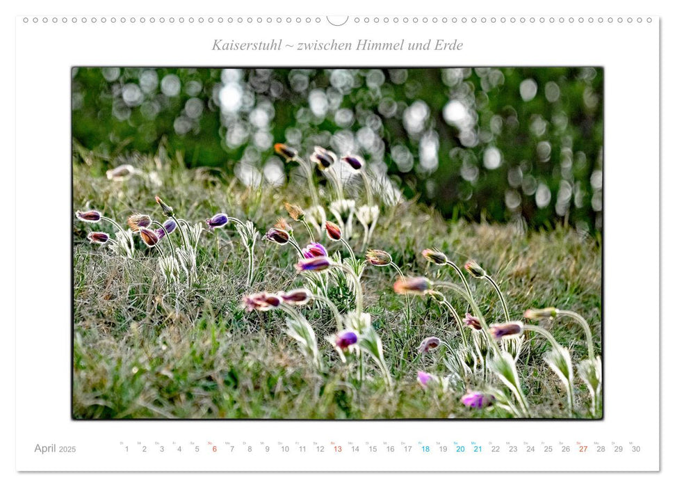 Kaiserstuhl zwischen Himmel und Erde (CALVENDO Premium Wandkalender 2025)