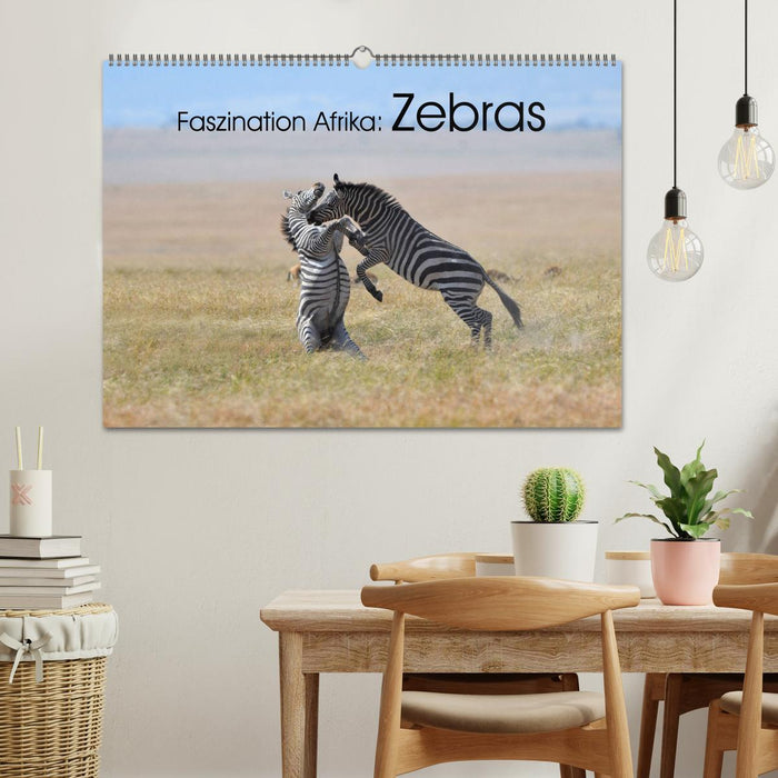 Faszination Afrika: Zebras (CALVENDO Wandkalender 2025)