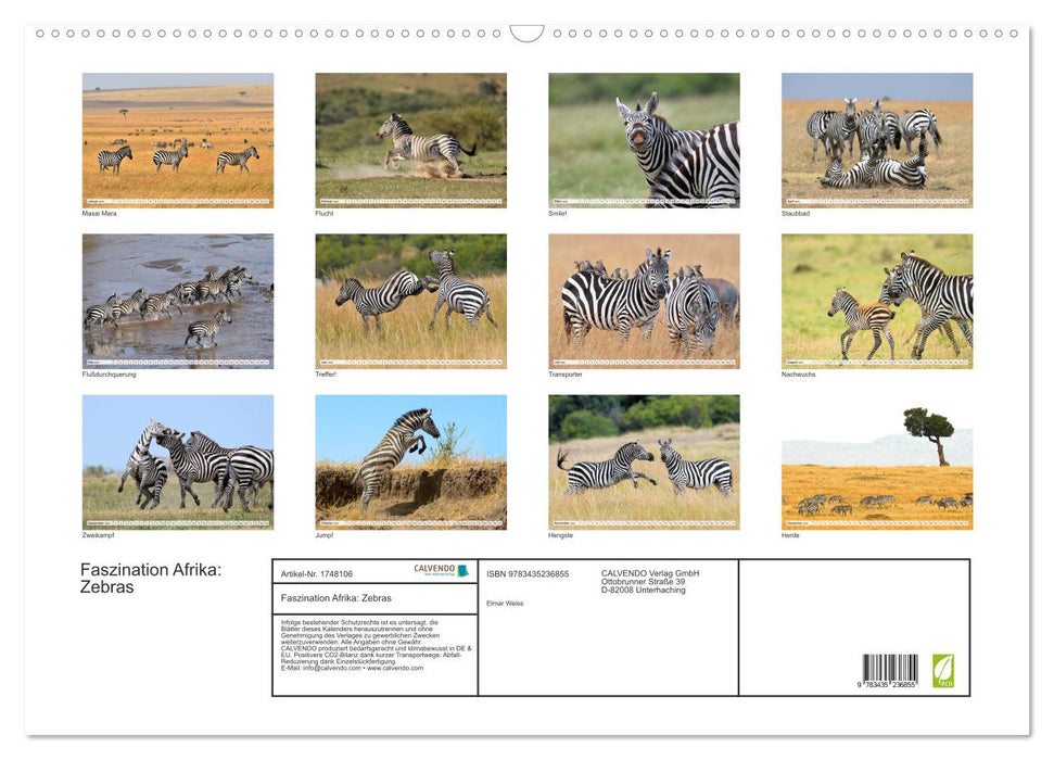 Faszination Afrika: Zebras (CALVENDO Wandkalender 2025)