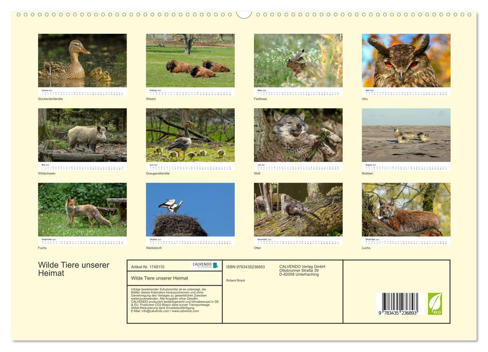 Wilde Tiere unserer Heimat (CALVENDO Premium Wandkalender 2025)