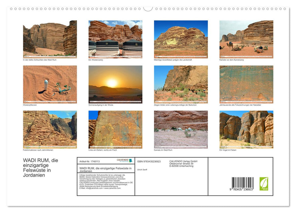 WADI RUM, die einzigartige Felswüste in Jordanien (CALVENDO Premium Wandkalender 2025)