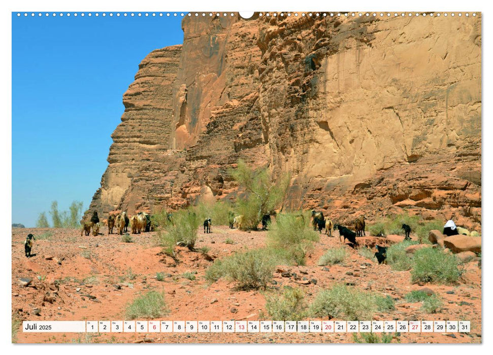 WADI RUM, die einzigartige Felswüste in Jordanien (CALVENDO Premium Wandkalender 2025)