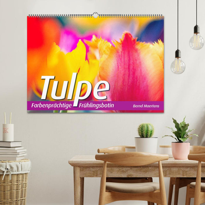 TULPE Farbenprächtige Frühlingsbotin (CALVENDO Wandkalender 2025)