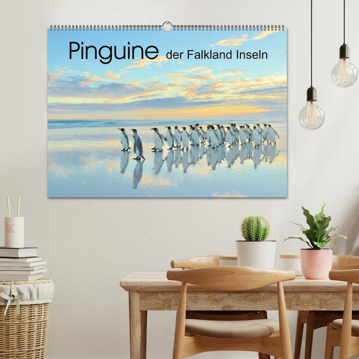 Pinguine der Falkland Inseln (CALVENDO Wandkalender 2025)