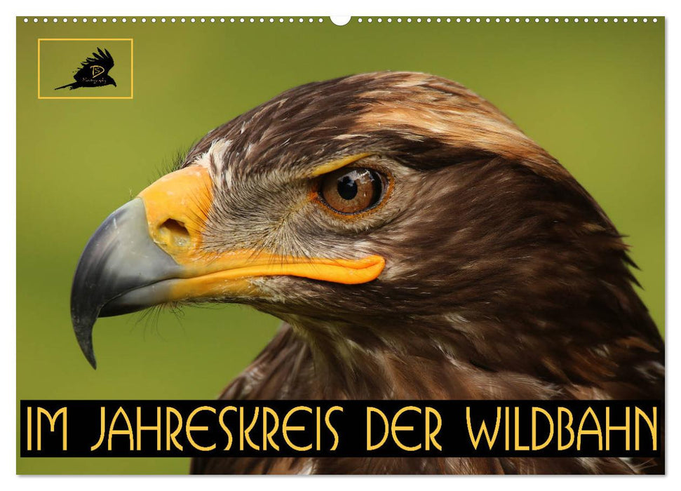 Im Jahreskreis der Wildbahn (CALVENDO Wandkalender 2025)