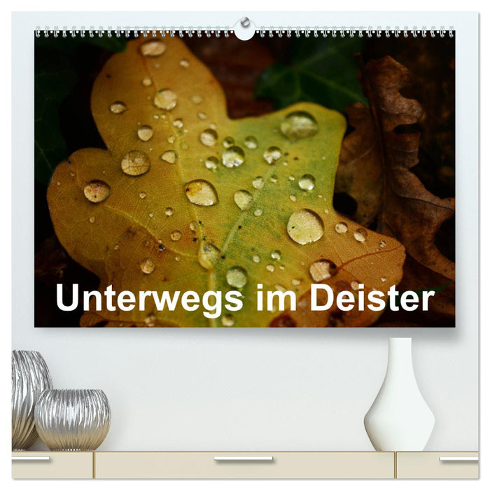 Unterwegs im Deister (CALVENDO Premium Wandkalender 2025)