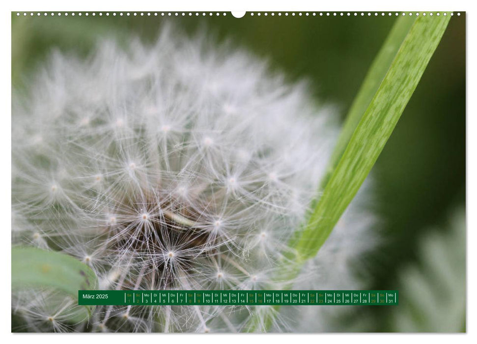 Unterwegs im Deister (CALVENDO Premium Wandkalender 2025)