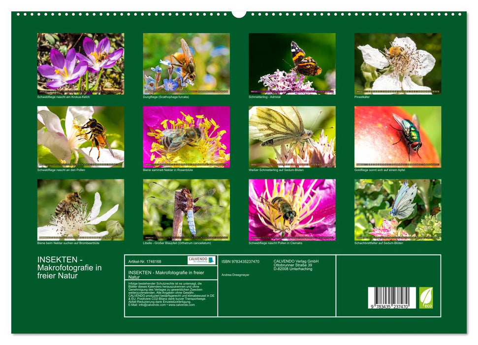 INSEKTEN - Makrofotografie in freier Natur (CALVENDO Premium Wandkalender 2025)