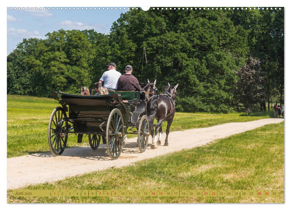 Parkgemeinde Kromlau (CALVENDO Premium Wandkalender 2025)