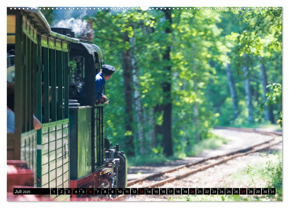 Parkgemeinde Kromlau (CALVENDO Premium Wandkalender 2025)