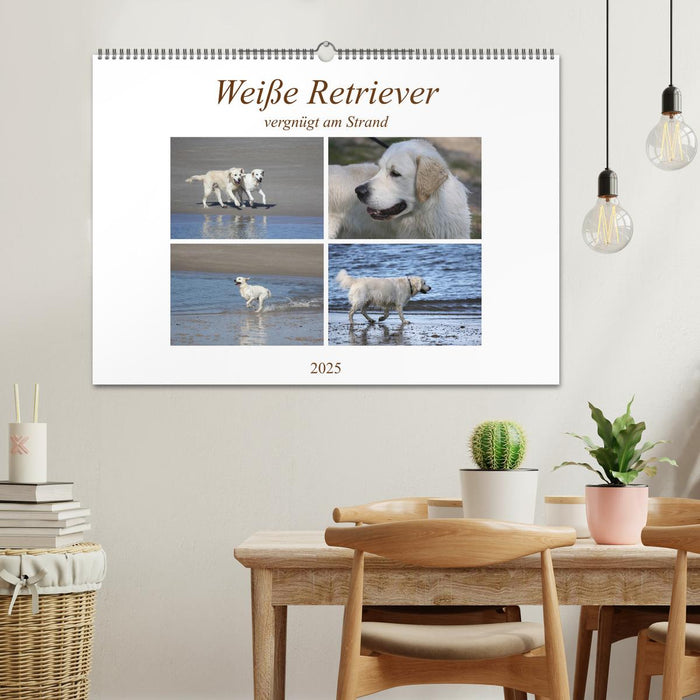 Weiße Retriever vergnügt am Strand (CALVENDO Wandkalender 2025)