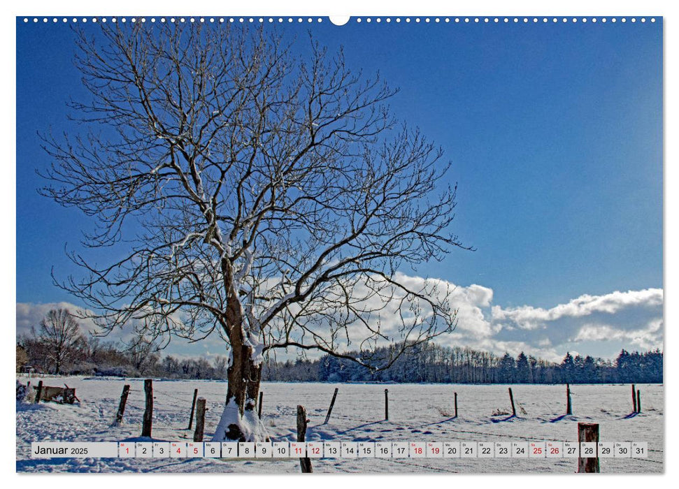 Aachener Spaziergänge durch Wald und Flur (CALVENDO Premium Wandkalender 2025)