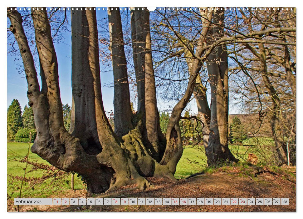 Aachener Spaziergänge durch Wald und Flur (CALVENDO Premium Wandkalender 2025)