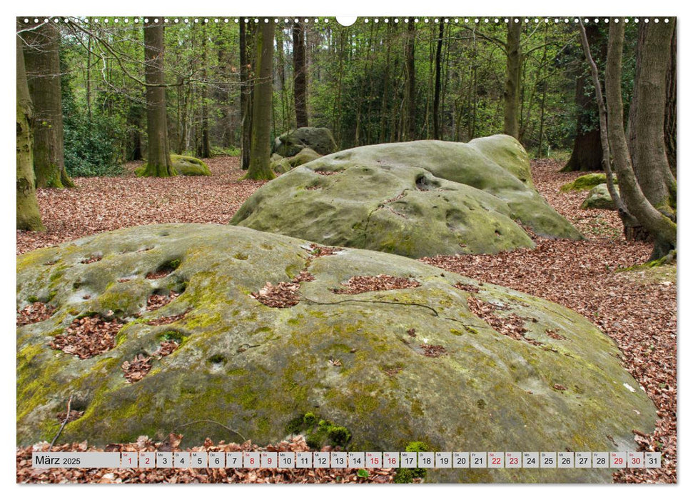 Aachener Spaziergänge durch Wald und Flur (CALVENDO Premium Wandkalender 2025)