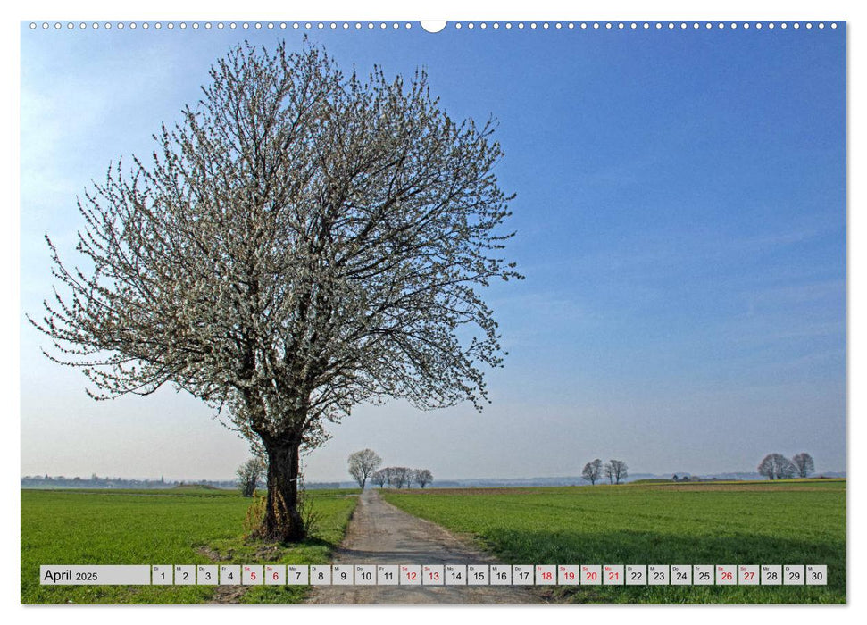 Aachener Spaziergänge durch Wald und Flur (CALVENDO Premium Wandkalender 2025)