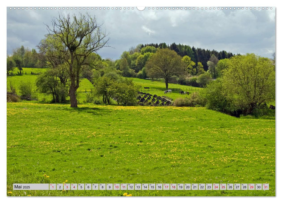 Aachener Spaziergänge durch Wald und Flur (CALVENDO Premium Wandkalender 2025)