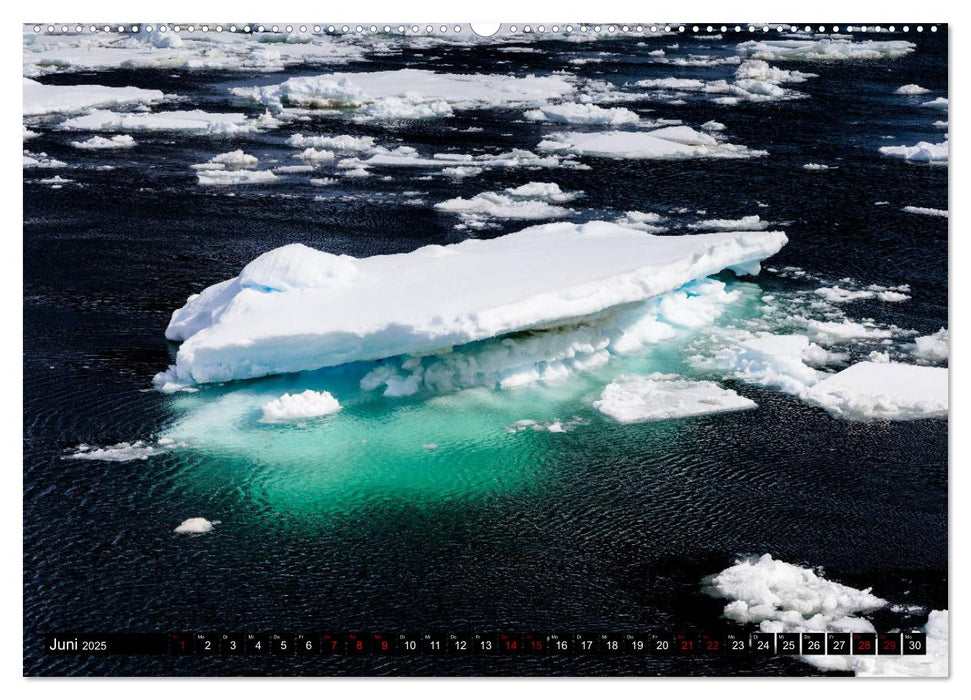 Der Eiskalte Süden. Die Antarktis (CALVENDO Premium Wandkalender 2025)