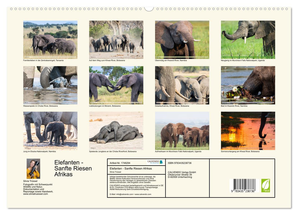 Elefanten - Sanfte Riesen Afrikas (CALVENDO Premium Wandkalender 2025)