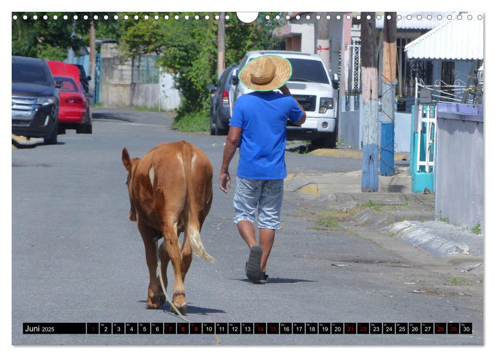 San Juan - Puerto Rico 2025 (CALVENDO Wandkalender 2025)