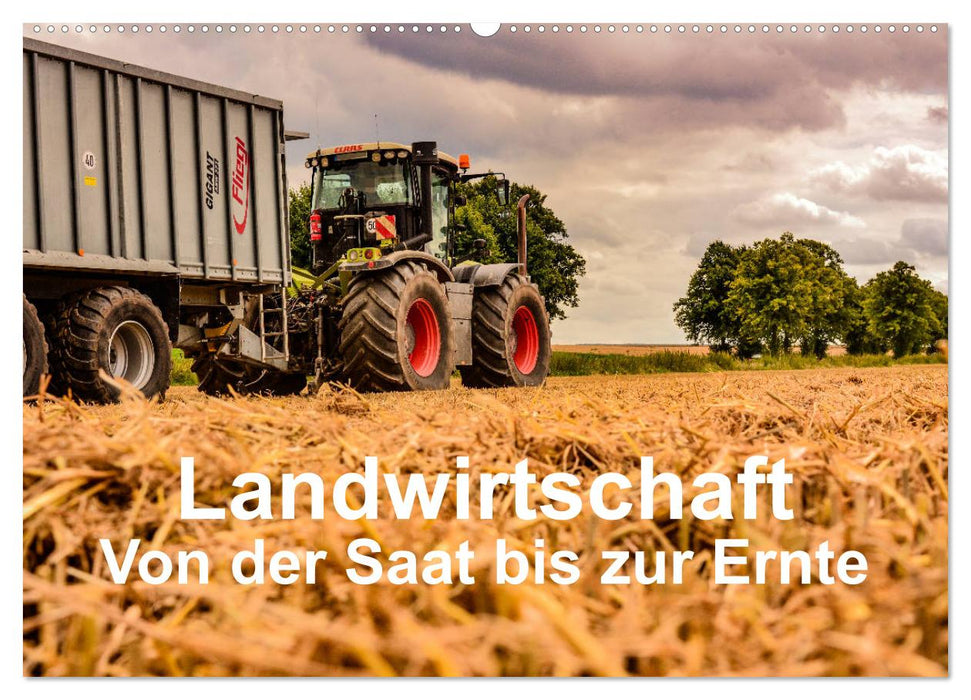 Landwirtschaft - Von der Saat bis zur Ernte (CALVENDO Wandkalender 2025)