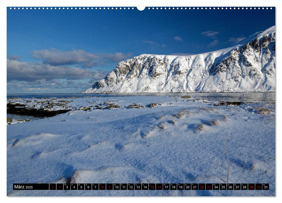 Lofoten und Vesterålen im Winter (CALVENDO Premium Wandkalender 2025)