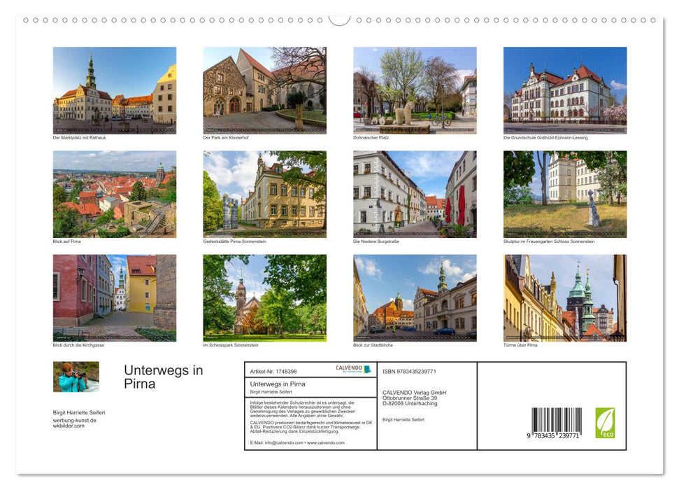 Unterwegs in Pirna (CALVENDO Premium Wandkalender 2025)