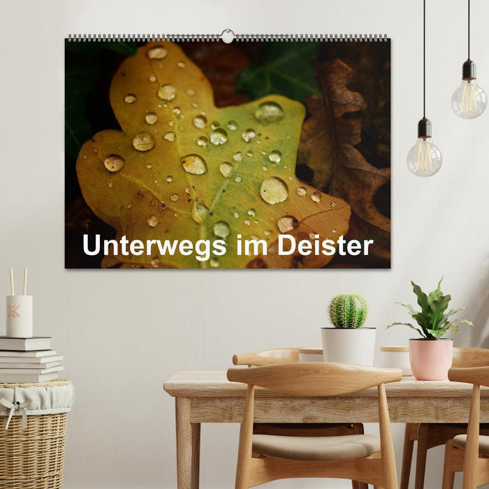 Unterwegs im Deister (CALVENDO Wandkalender 2025)