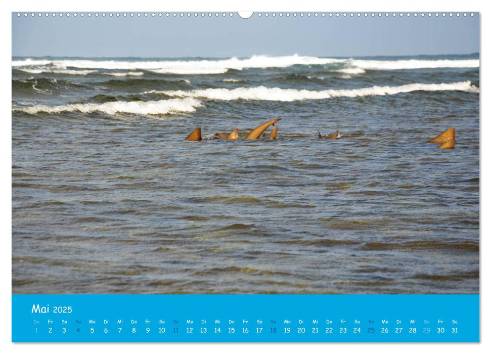 Cabo verde Inselgeflüster - Ilha do Sal (CALVENDO Premium Wandkalender 2025)