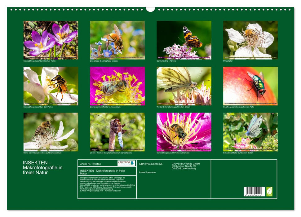 INSEKTEN - Makrofotografie in freier Natur (CALVENDO Wandkalender 2025)