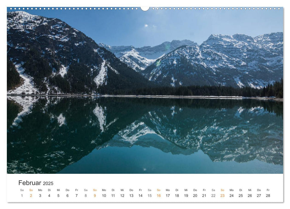 Fels und Stamm: Allgäu und Alpen (CALVENDO Premium Wandkalender 2025)