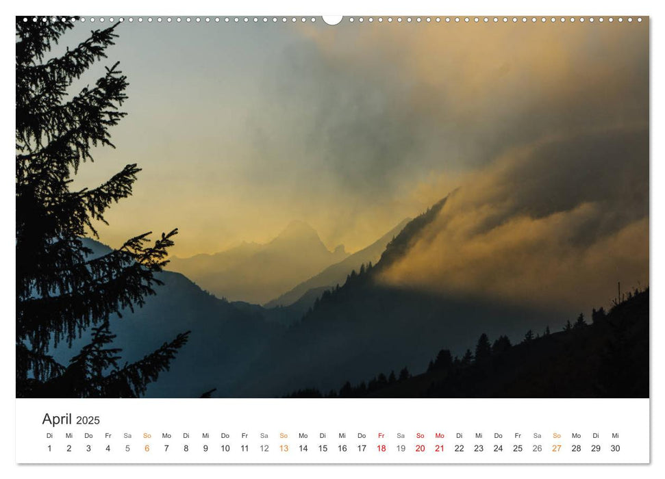 Fels und Stamm: Allgäu und Alpen (CALVENDO Premium Wandkalender 2025)