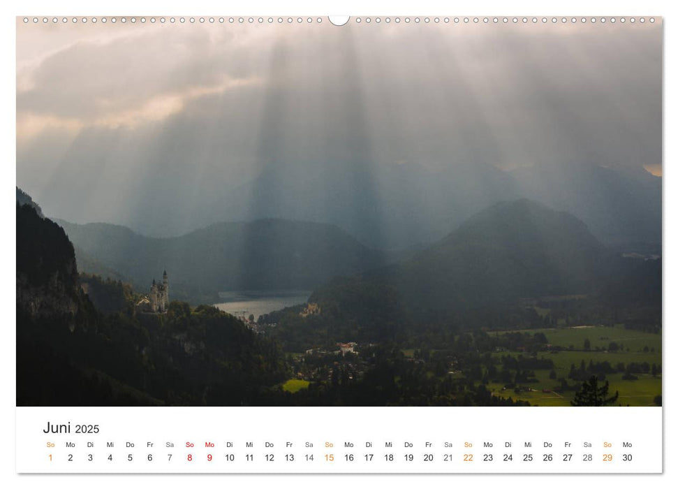 Fels und Stamm: Allgäu und Alpen (CALVENDO Premium Wandkalender 2025)