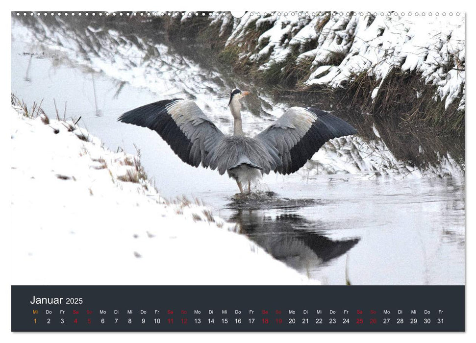 Heimat im Bremer Blockland (CALVENDO Wandkalender 2025)