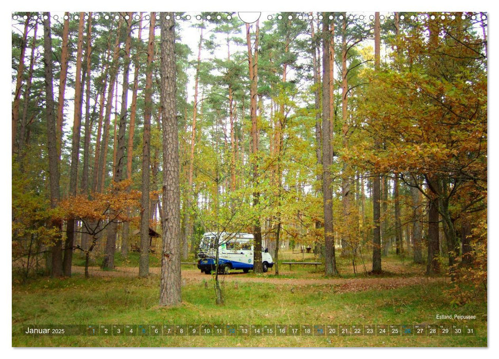 Vanlife - Leben, fahren, frei sein mit dem Wohnmobil (CALVENDO Wandkalender 2025)