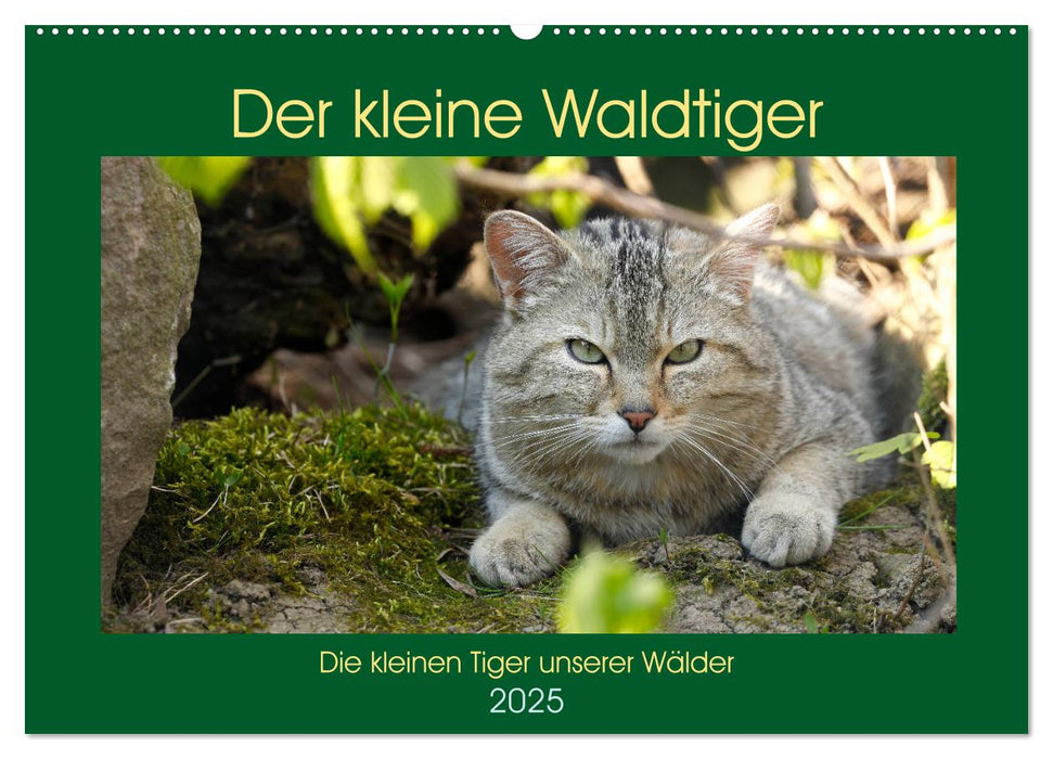 Der kleine Waldtiger (CALVENDO Wandkalender 2025)