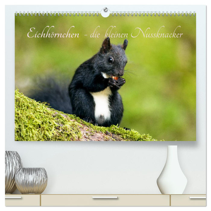 Eichhörnchen - die kleinen Nussknacker (CALVENDO Premium Wandkalender 2025)