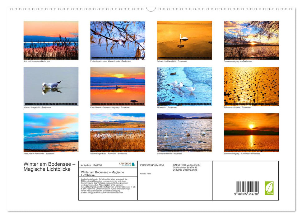 Winter am Bodensee – Magische Lichtblicke (CALVENDO Premium Wandkalender 2025)