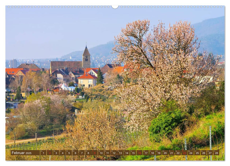 Gimmeldingen - Mandelblütenfest an der Deutschen Weinstraße (CALVENDO Premium Wandkalender 2025)