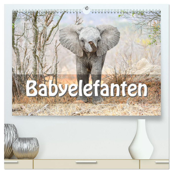 Babyelefanten (CALVENDO Premium Wandkalender 2025)