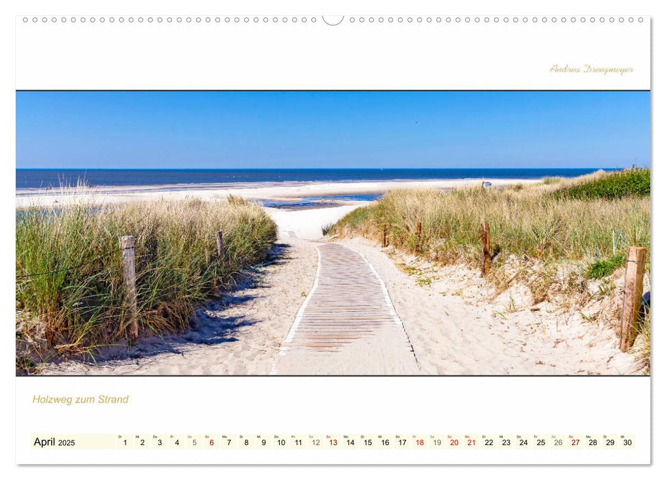 LANGEOOG PANORAMA (CALVENDO Premium Wandkalender 2025)