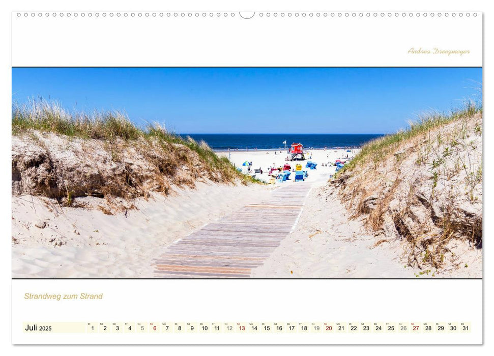 LANGEOOG PANORAMA (CALVENDO Premium Wandkalender 2025)