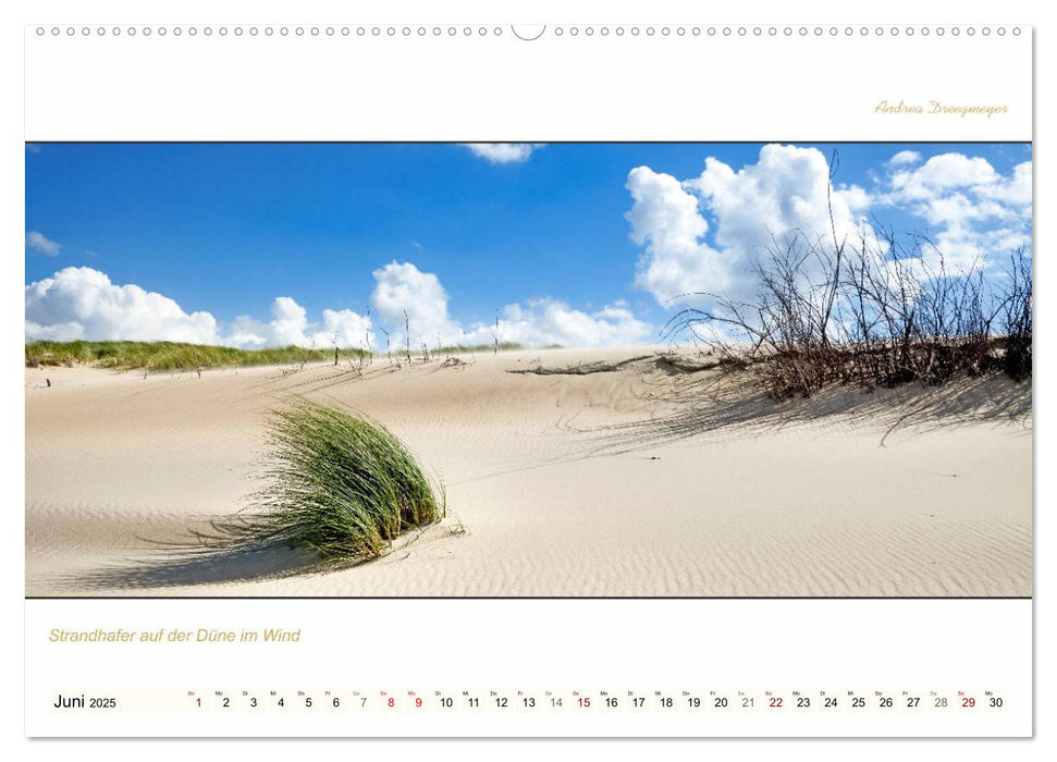 NORDERNEY PANORAMA (CALVENDO Premium Wandkalender 2025)